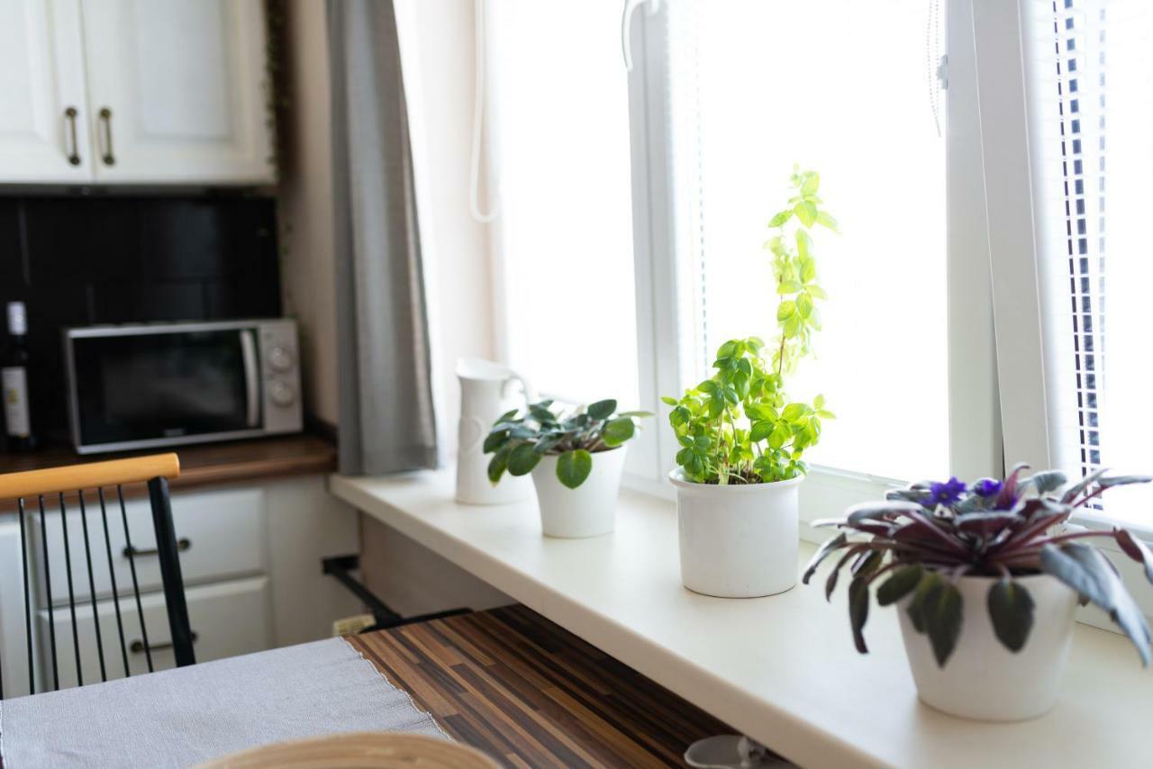 Old Town Vintage Apartment Sturova Košice Εξωτερικό φωτογραφία