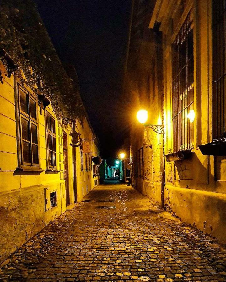 Old Town Vintage Apartment Sturova Košice Εξωτερικό φωτογραφία